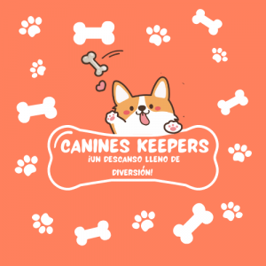 Foto de perfil de David F.